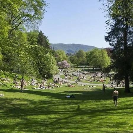 Holiday home Dinbnb I New 2021 I Affordable Option